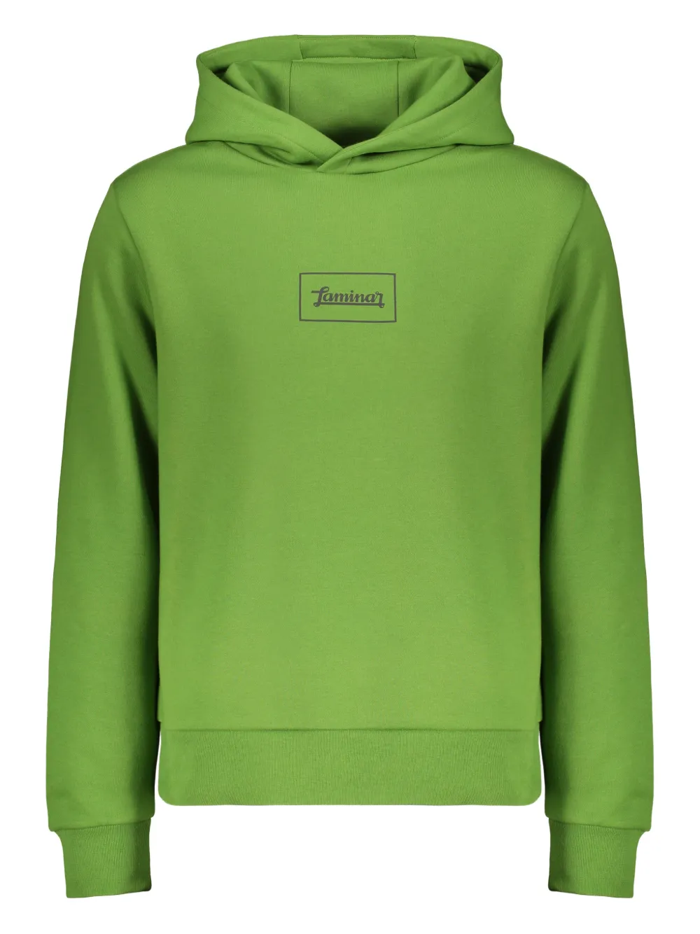 

Худи с логотипом Herno, зеленый