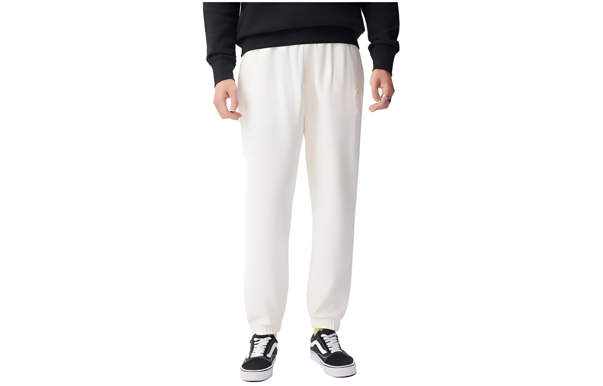

Трикотажные спортивные штаны унисекс Dickies, White Egret White
