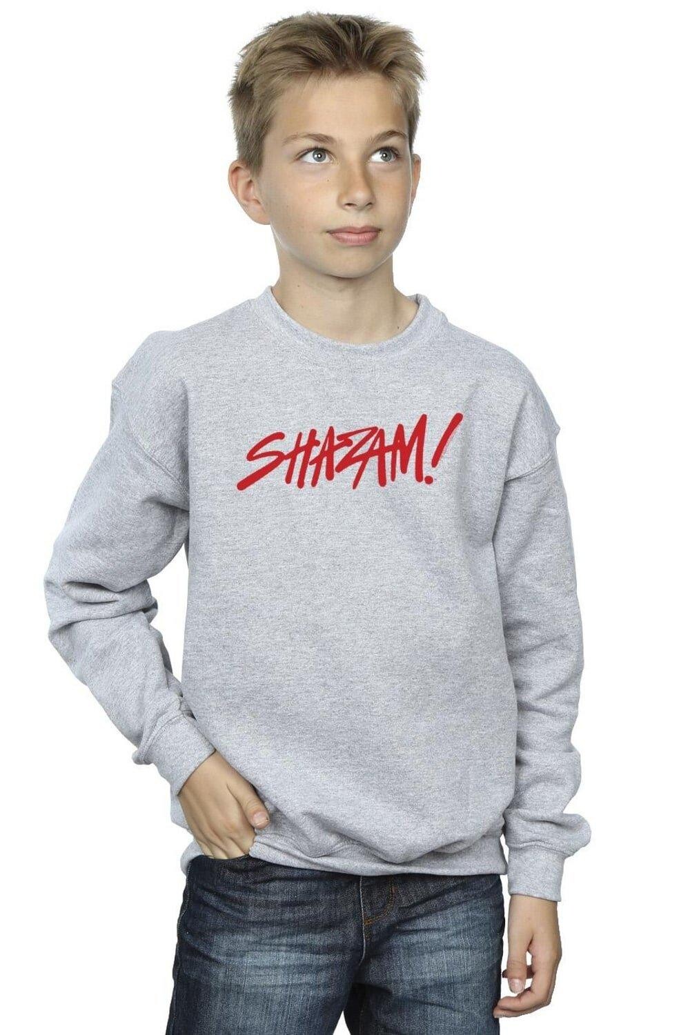 

Толстовка с логотипом Shazam Fury Of The Gods DC Comics, серый