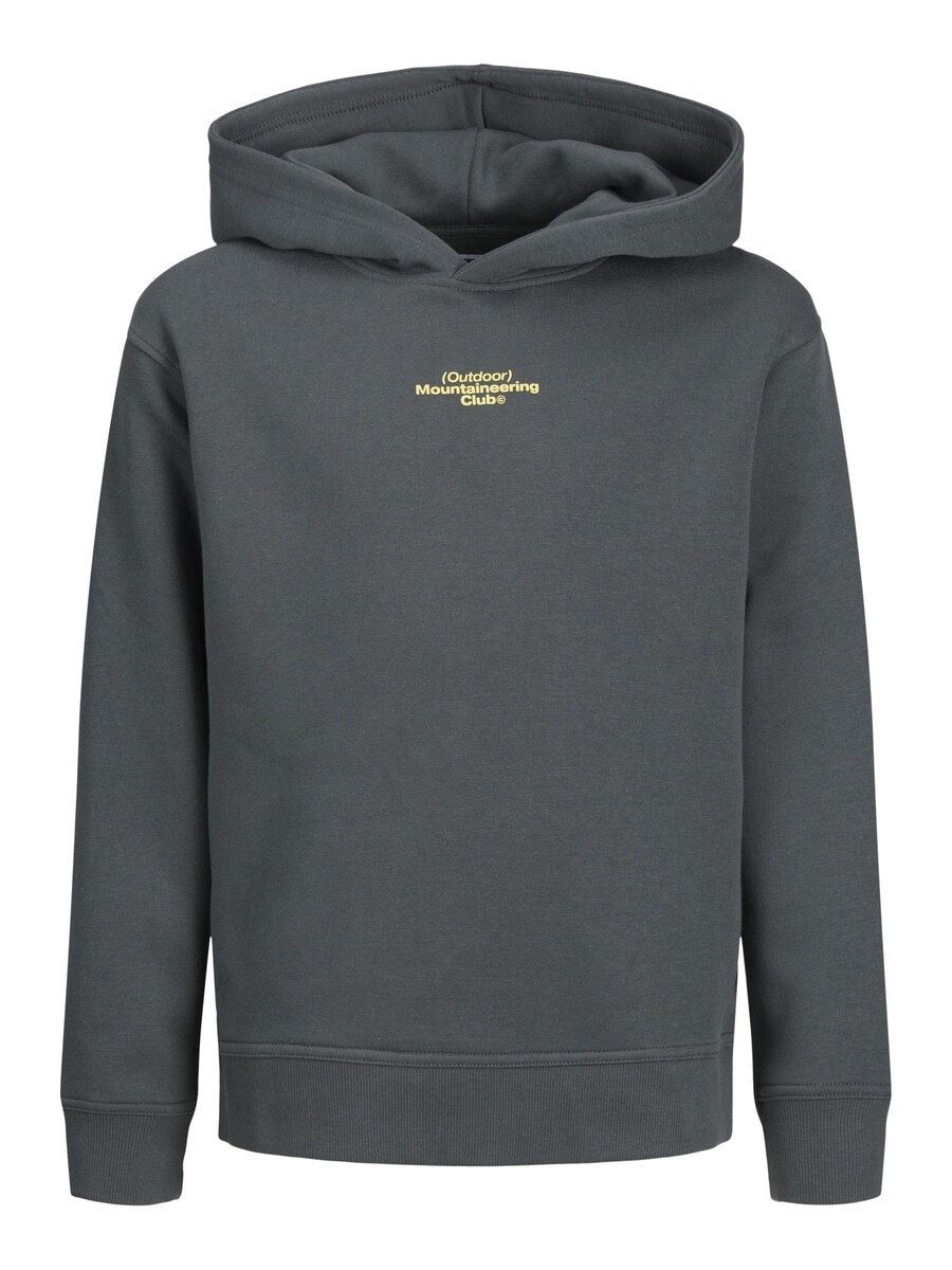 

Толстовка Jack & Jones Junior, серый
