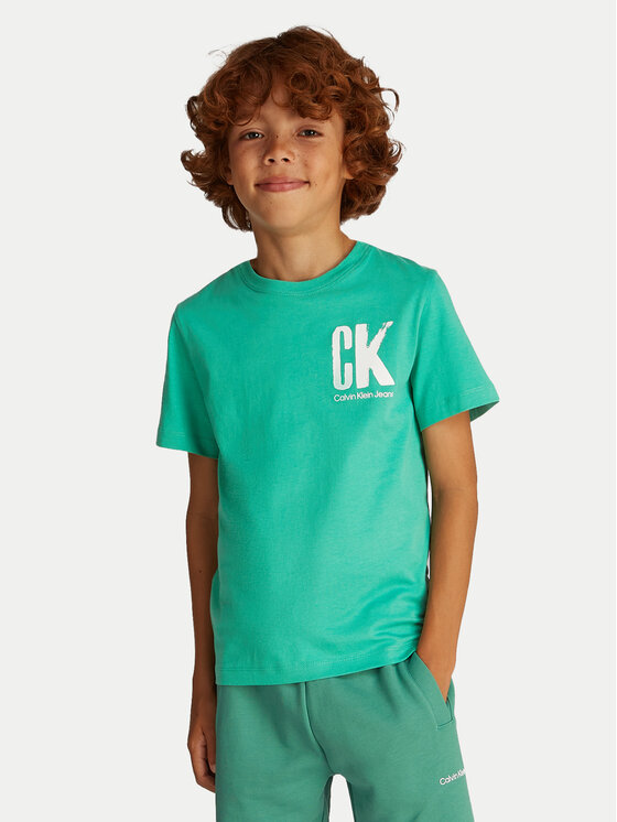 

Футболка обычного кроя Surf Graphic IB0IB02447 Calvin Klein Jeans, зеленый