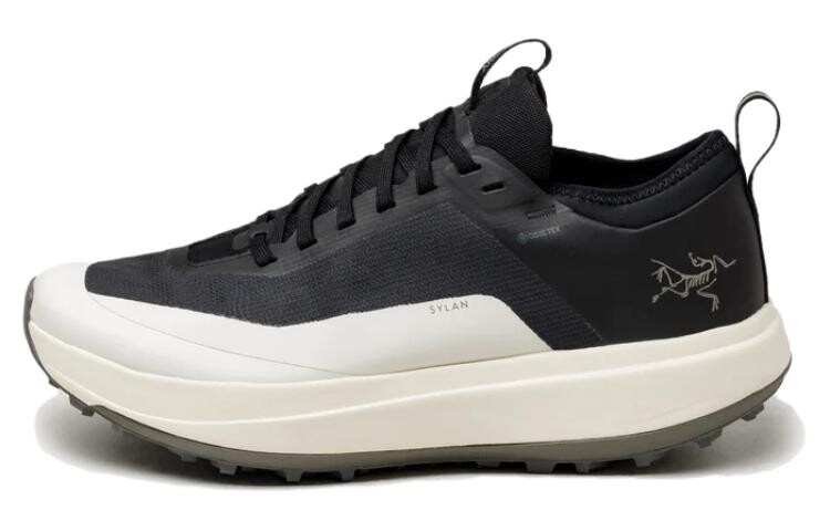 

Кроссовки мужские Arcteryx Sylan GTX, черный / белый