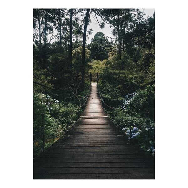 

Картина на холсте A.S. Création Forest Road, зеленый
