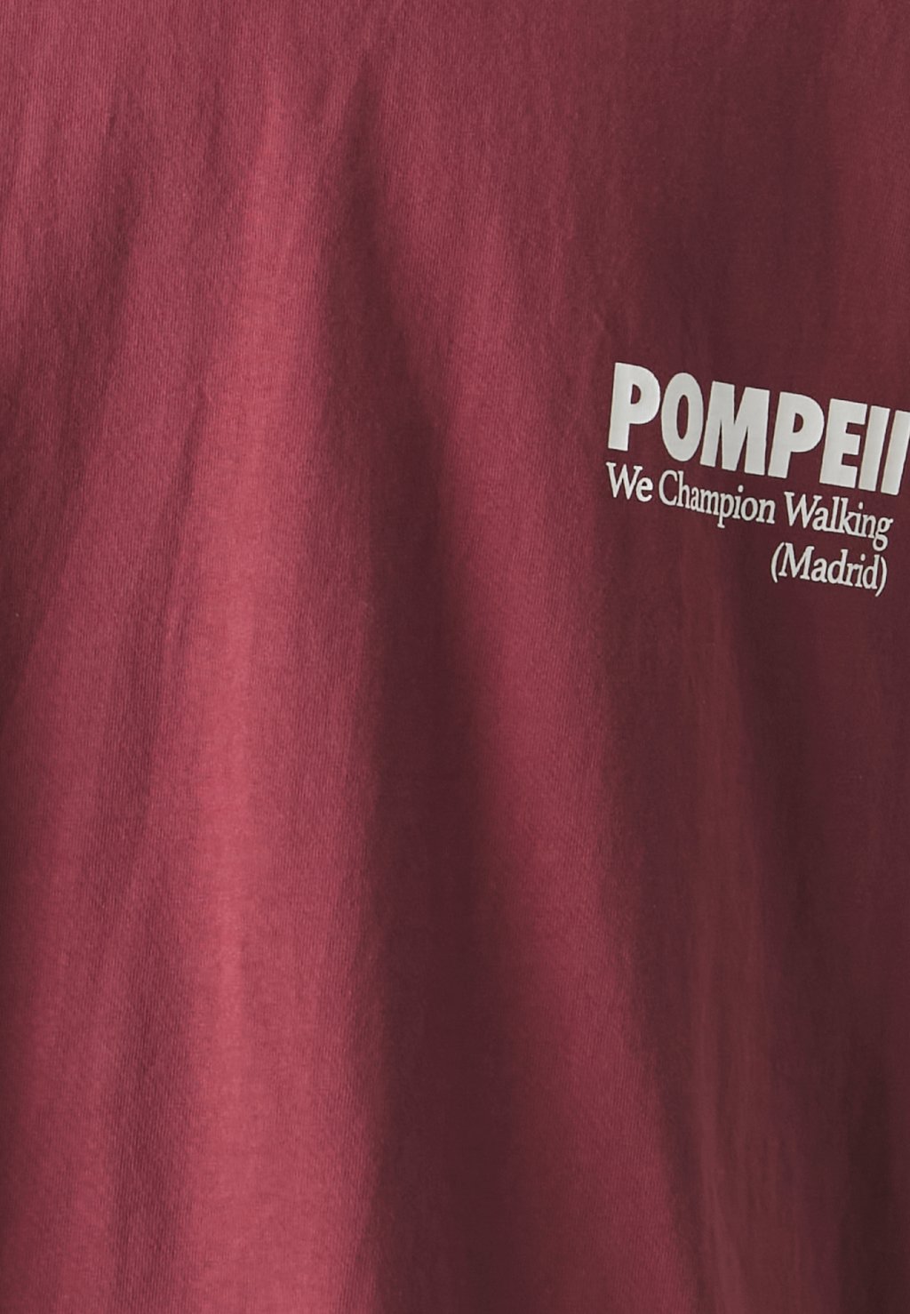 

Футболка с принтом TEE Pompeii, темно-красный