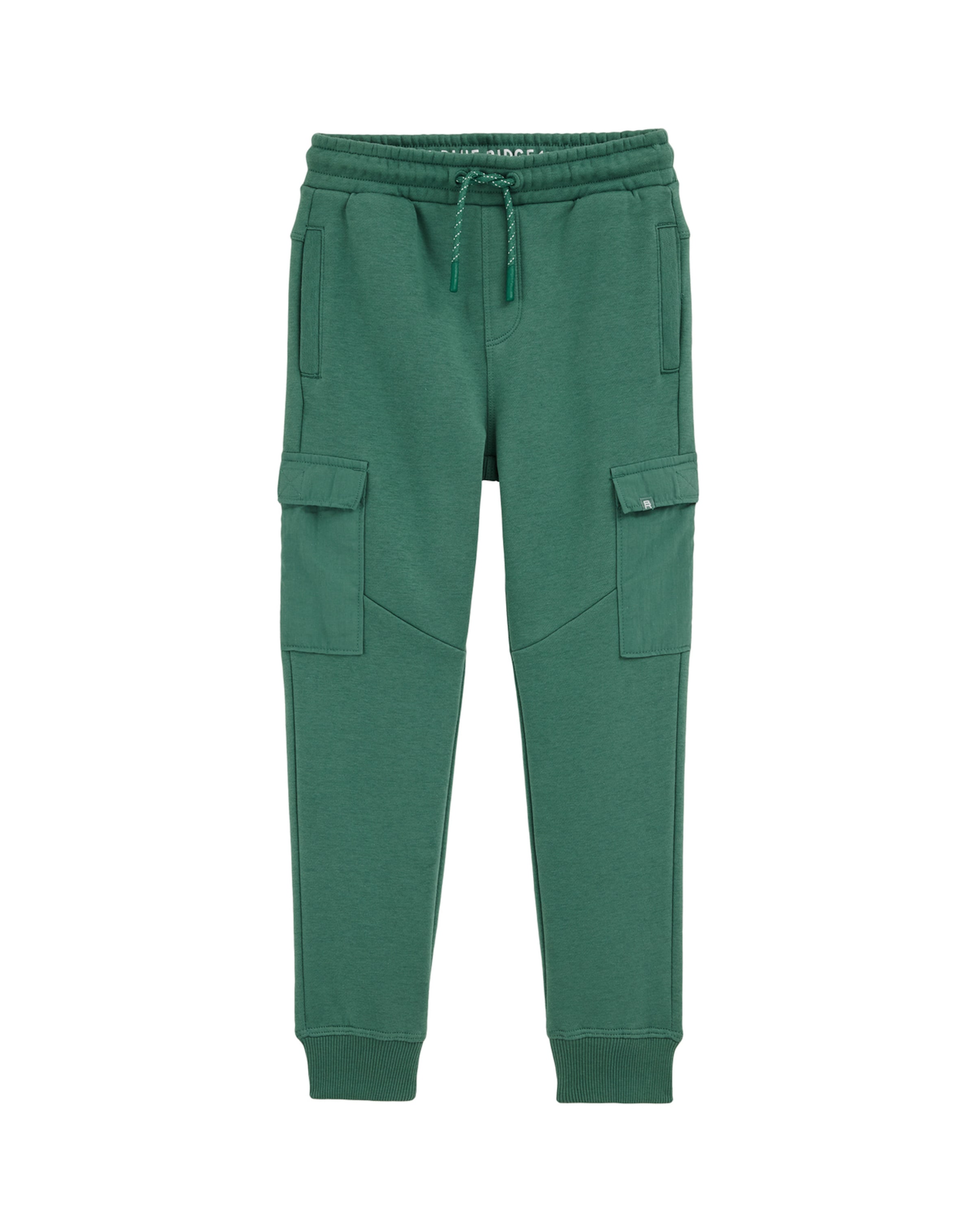 

WE Fashion Брюки Regular в цвете Fir