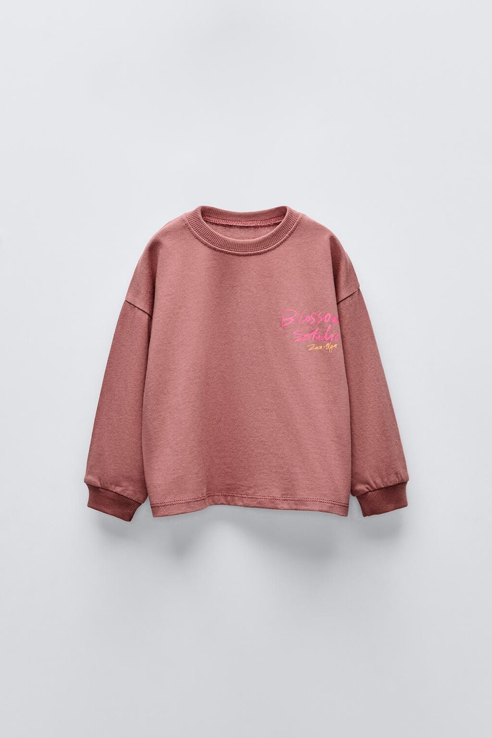 

Футболка с принтом на спине ZARA, красноватый