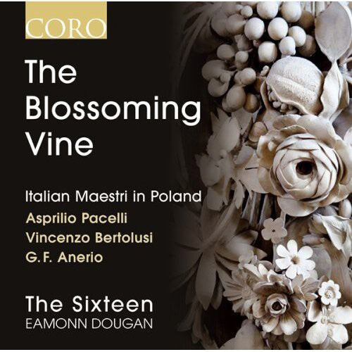 

CD диск Sixteen / Dougan / Pacelli / Bertolusi: Sixteen / Dougan / Pacelli / Bertolusi : Blossoming Vine: Italian Maestri in Poland