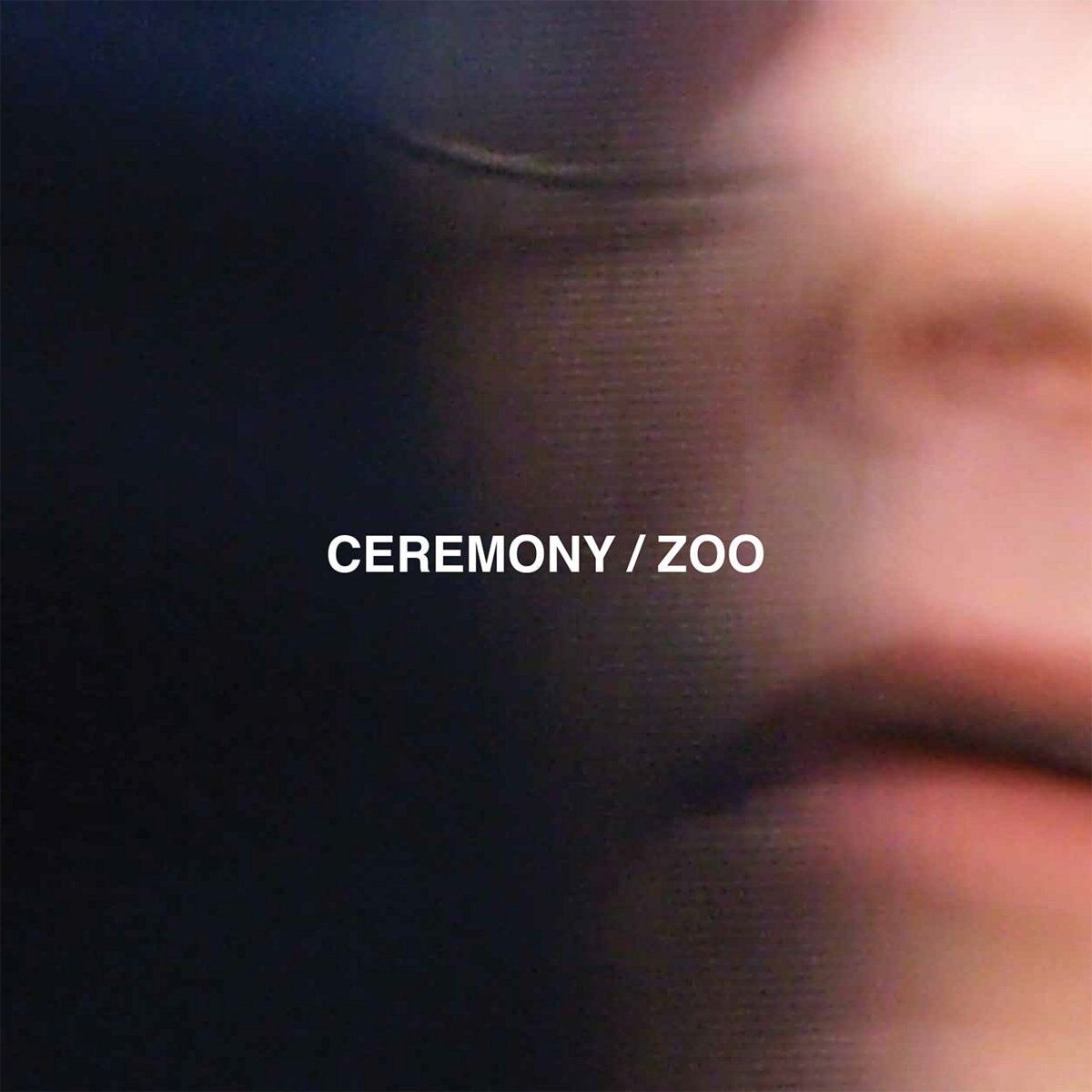 

Виниловая пластинка Ceremony - Zoo