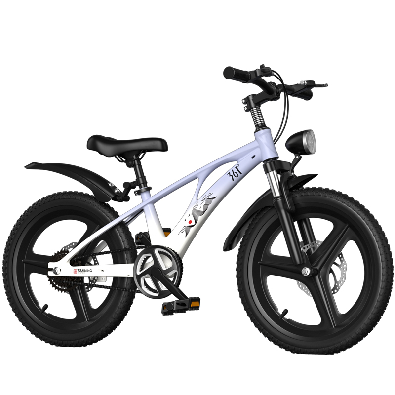 

Велосипед Youth & Student из магниевого сплава с незаблокируемой амортизационной вилкой 361°, фиолетовый, integrated wheel