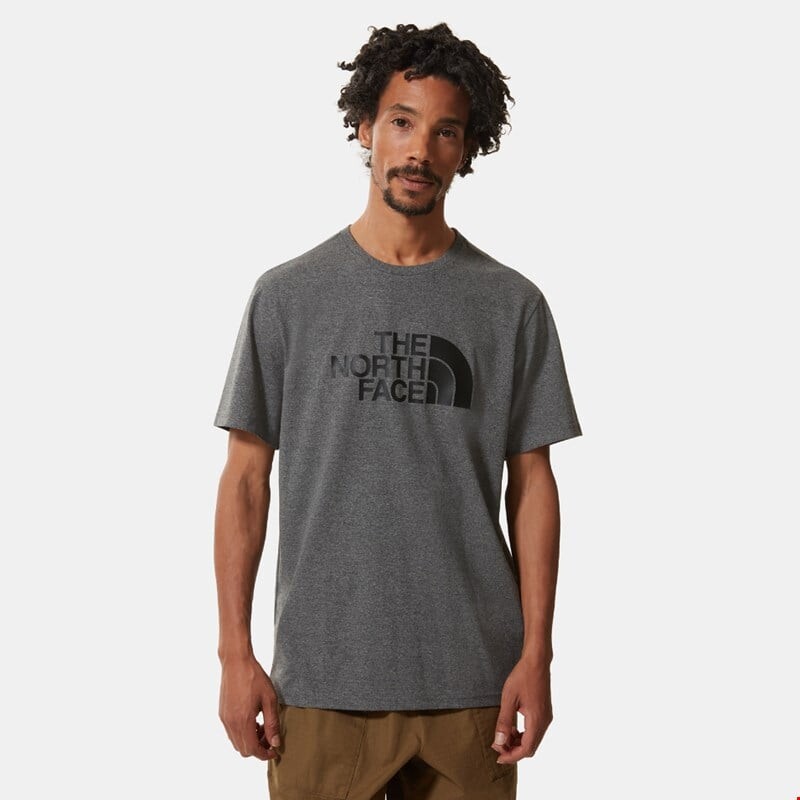 

Мужская футболка р/с легкая The North Face, серый