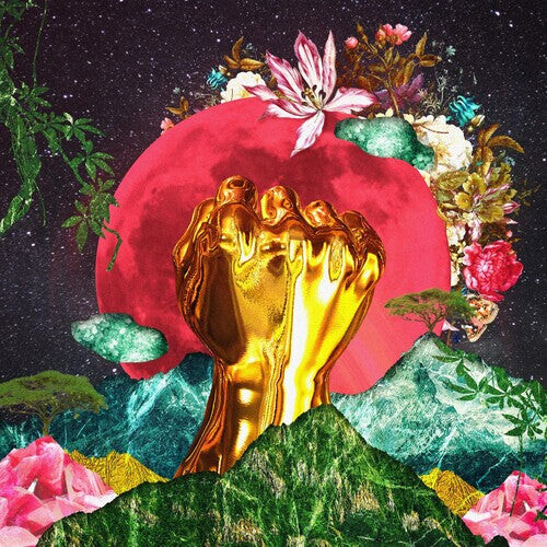 

Виниловая пластинка Mushonga, Rina: In A Galaxy