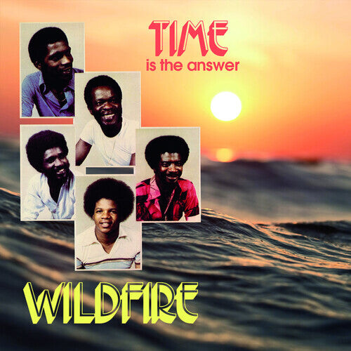 

Виниловая пластинка Wildfire: Time Is The Answer