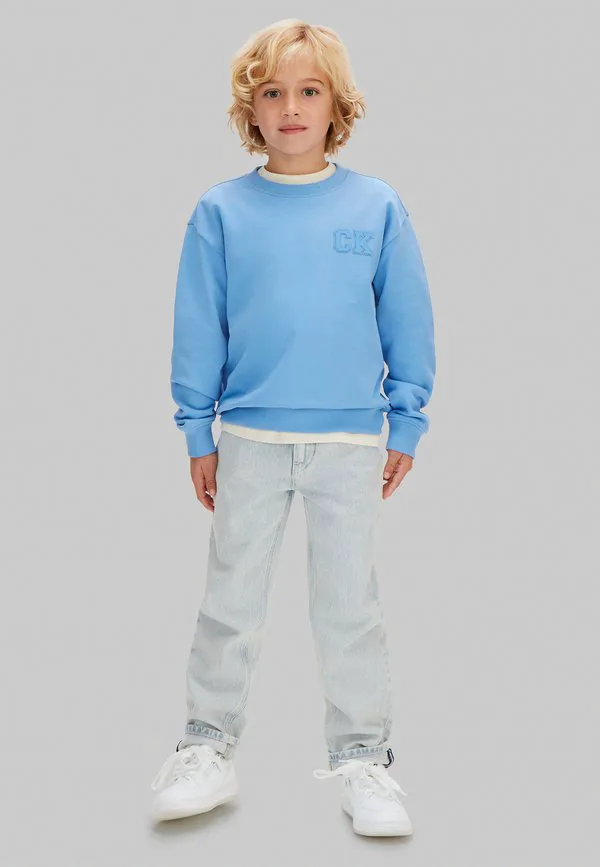 Свободная толстовка с логотипом Calvin Klein Jeans, Provence Tcx