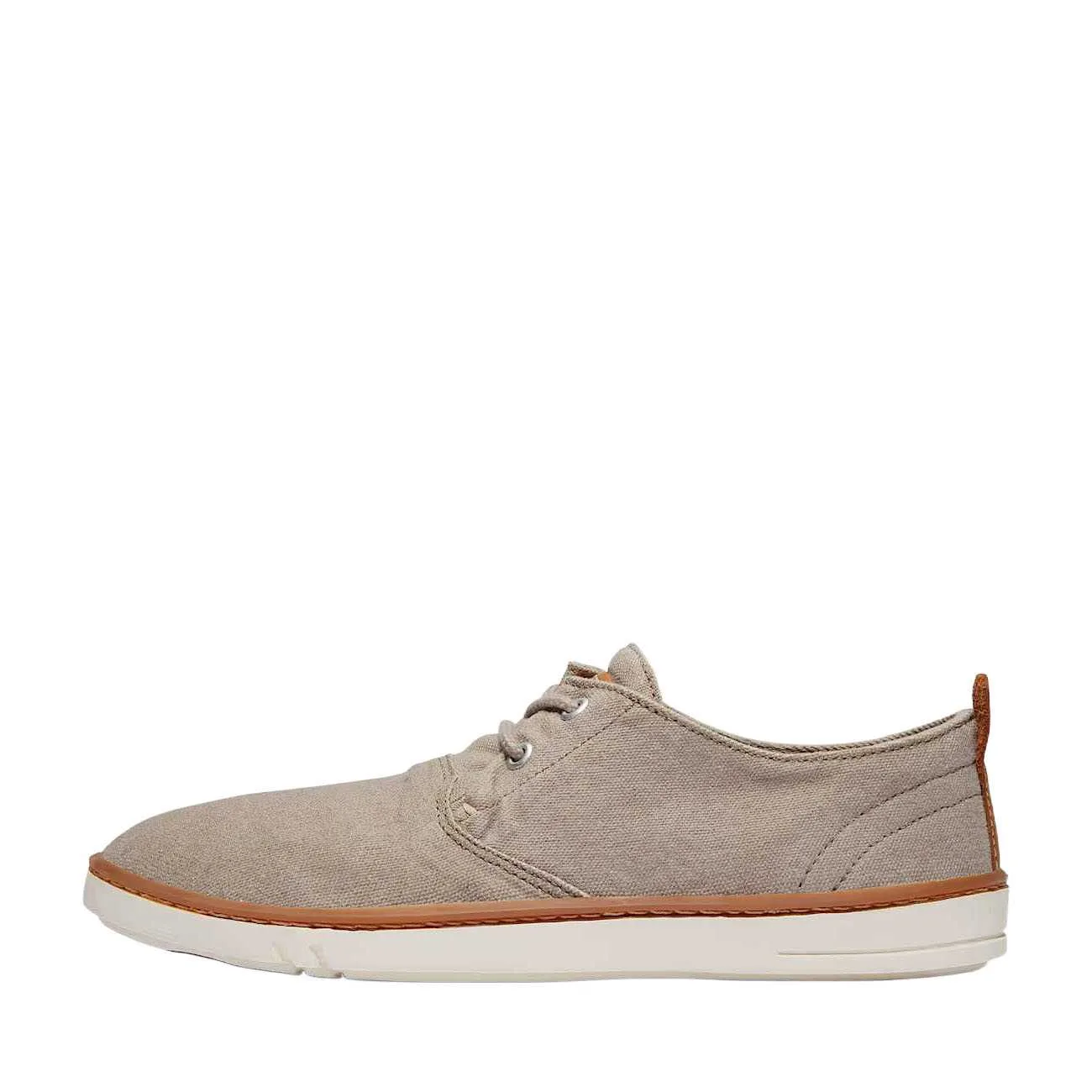 Timberland Hooksett легкие низкие кроссовки Canvas Men's Brown