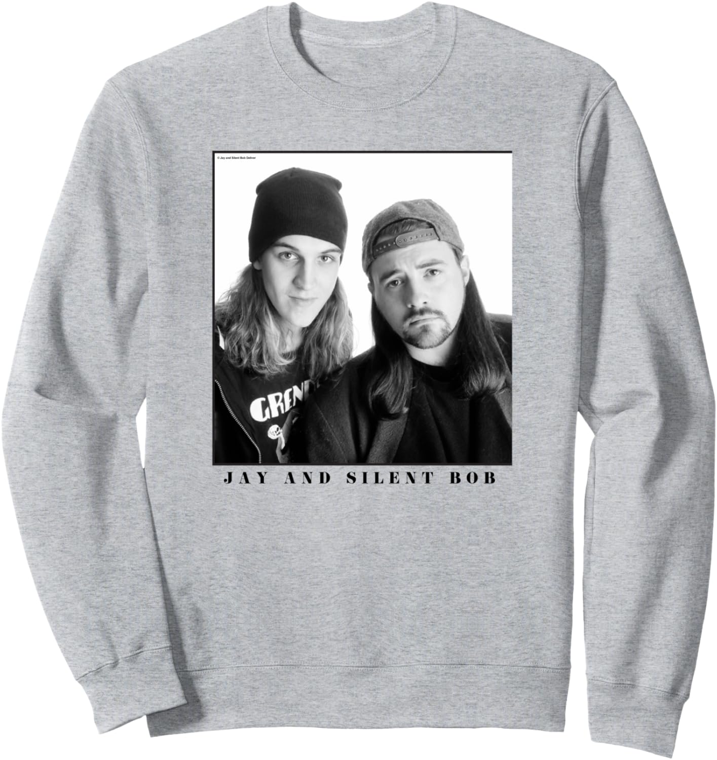 

Толстовка с изображением Джея и Молчаливого Боба в центре Jay & Silent Bob, серый