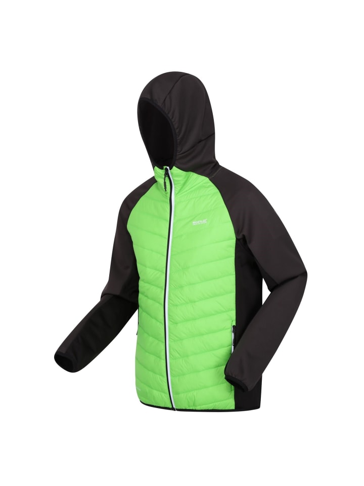 

Стеганая куртка Regatta Softshelljacke Steppjacke Andreson VIII Hybrid, цвет Lime