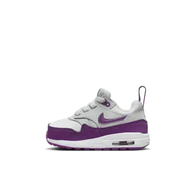 

Кроссовки Nike Air Max 1 EasyOn, цвет Summit White/White/Viotech