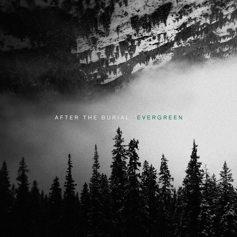 

Диск CD Evergreen - After The Burial