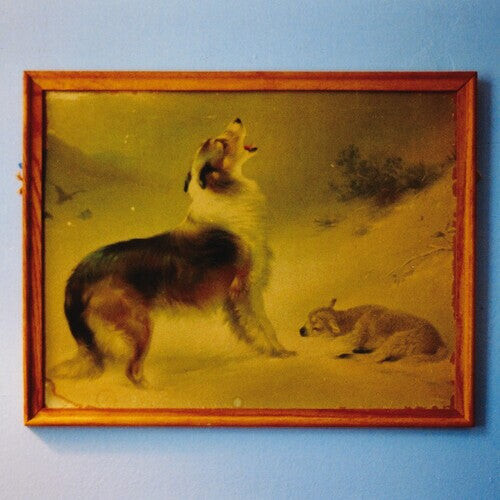 

Виниловая пластинка Explosions in the Sky: 'The Rescue (Anniversary Edition)’