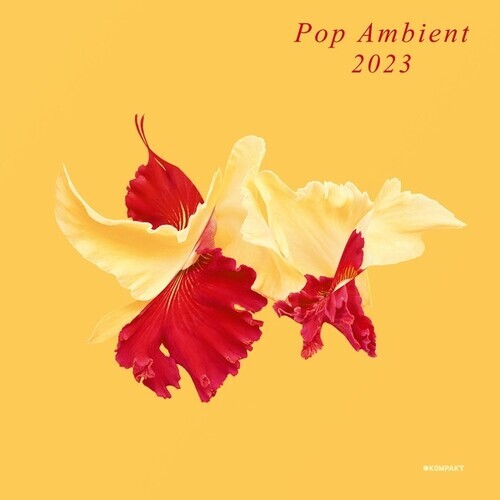 

CD диск Pop Ambient 2023 / Various: Pop Ambient 2023