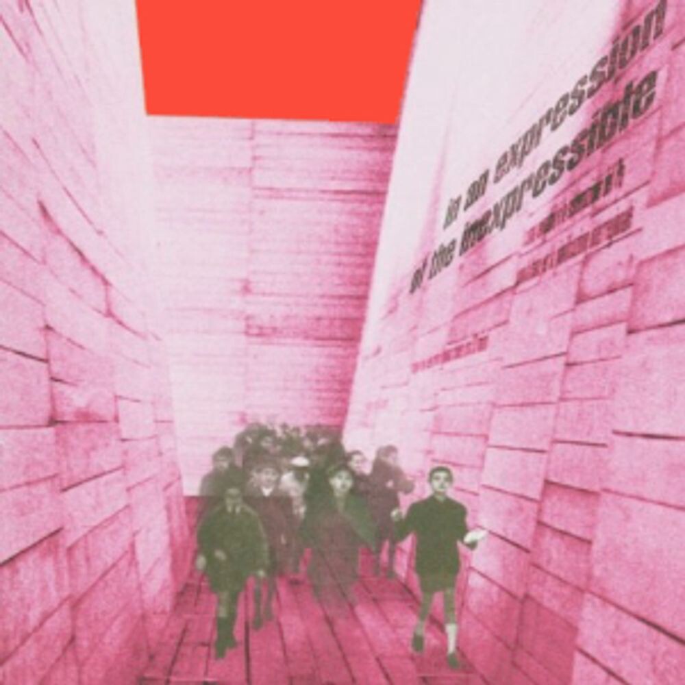 

Виниловая пластинка LP In An Expression Of The Inexpressible - Blonde Redhead