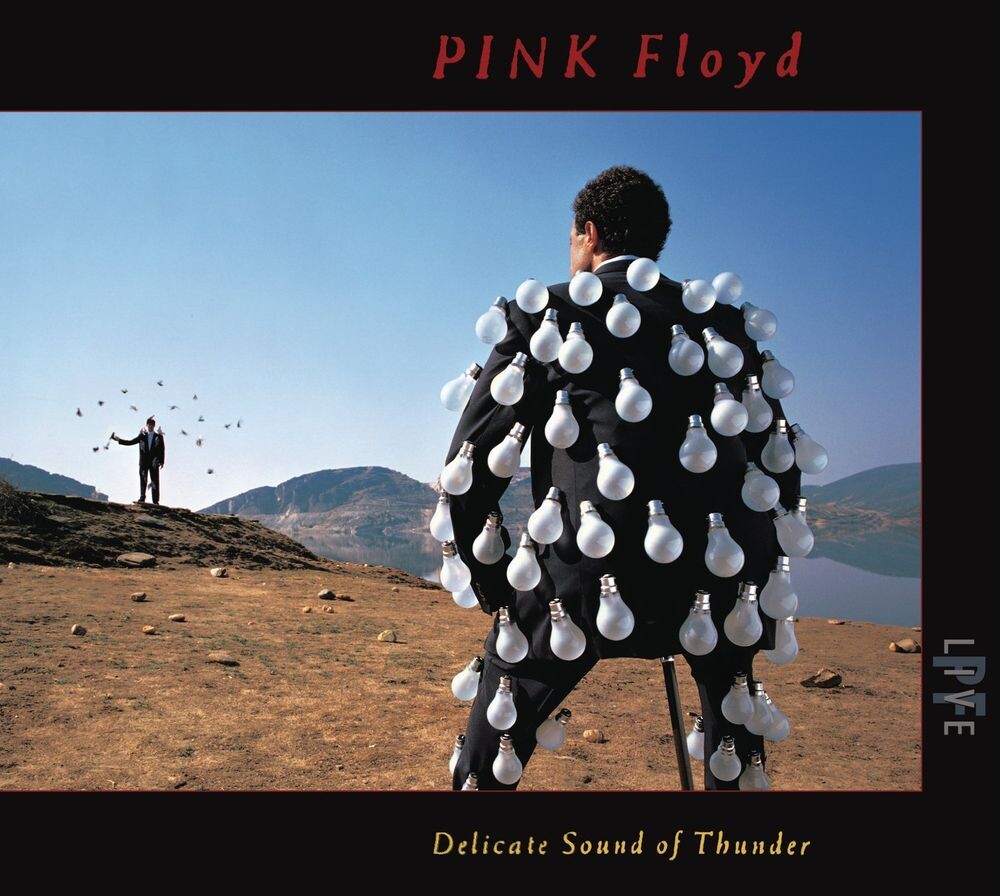 

Диск CD Delicate Sound Of Thunder - Pink Floyd