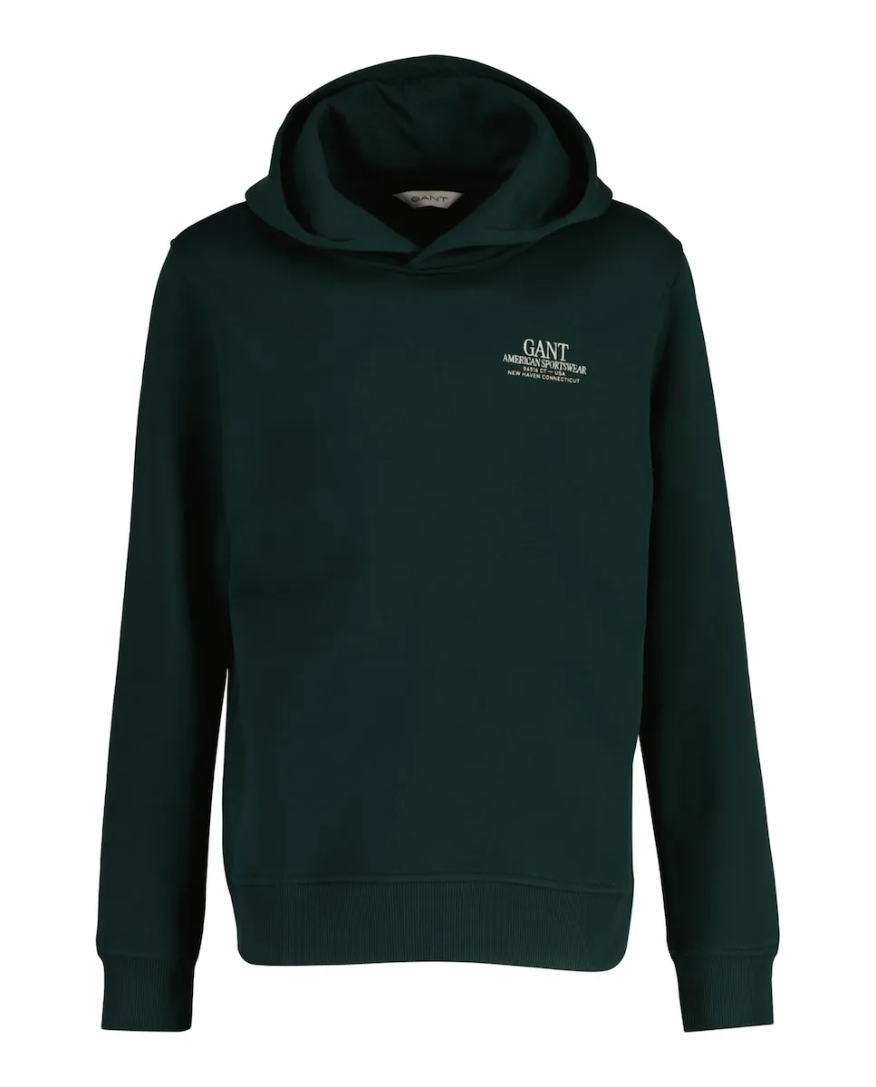 

Толстовка с капюшоном и деталями на груди Gant, зеленый