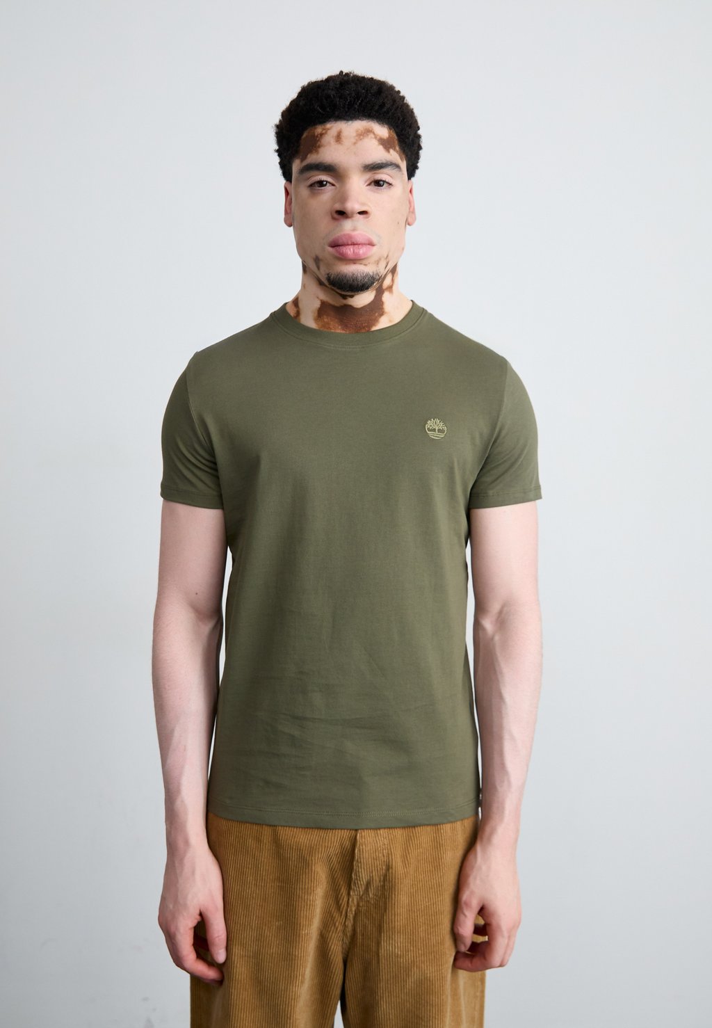 

Базовая футболка DUNSTAN RIVER SHORT SLEEVE TEE Timberland, зеленый