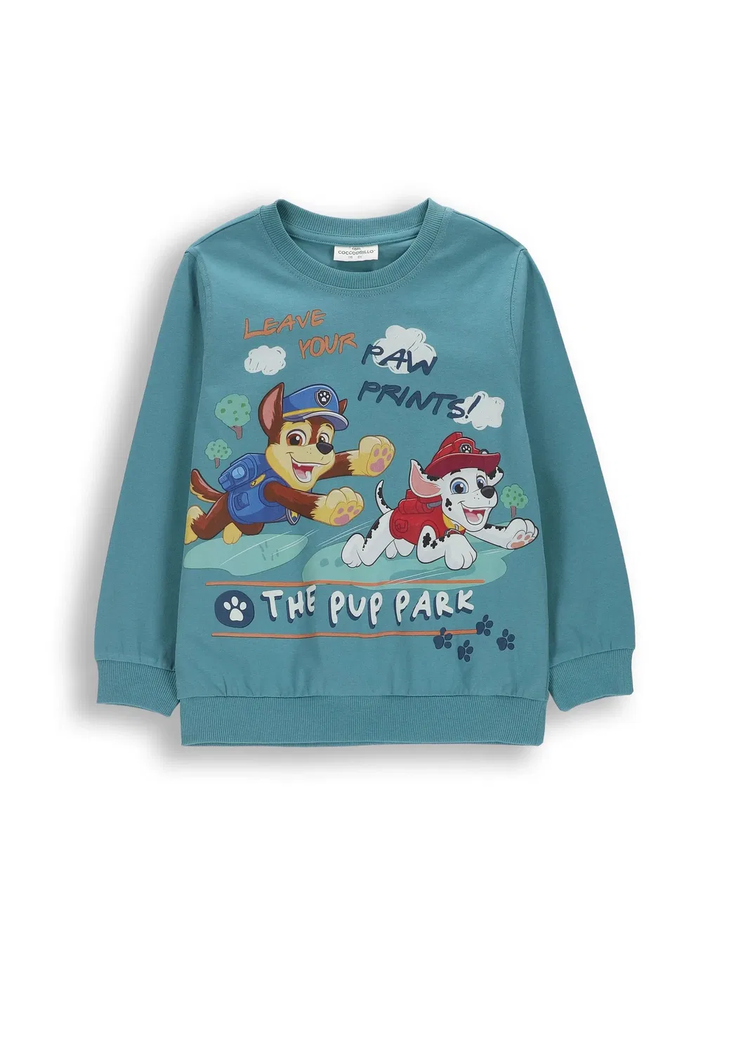 Футболка с длинным рукавом, с принтом Paw Patrol, Coccodrillo, бирюзовый