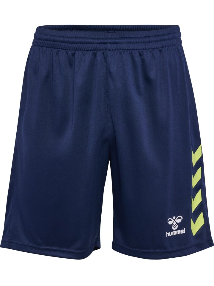 

Шорты Hummel Hmlgraphic Multisport Herren, синий