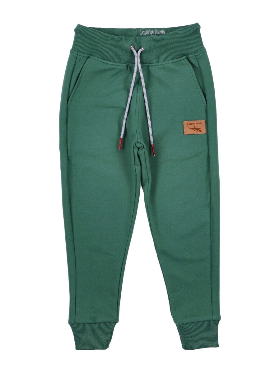 

Зауженные брюки Lagarto Verde, изумрудный
