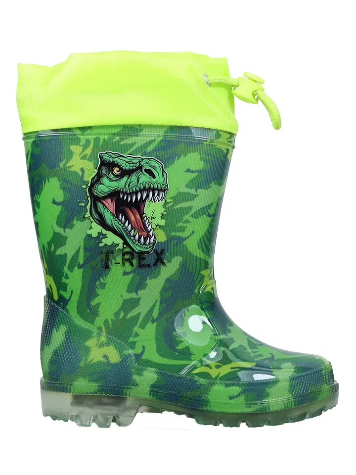 Резиновые сапоги зеленые Dinosaur