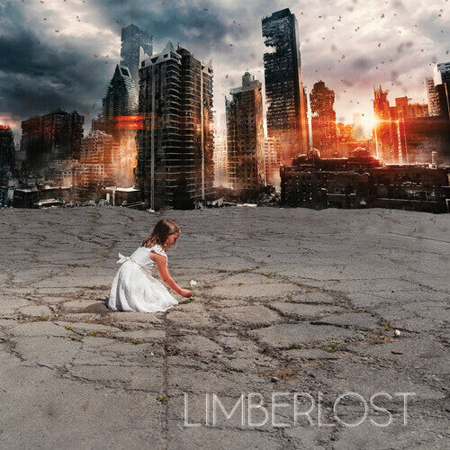 

CD диск Limberlost: Good Fight
