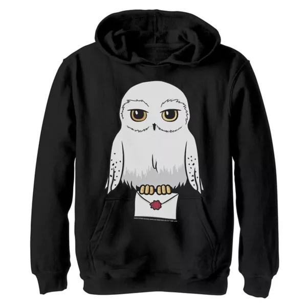 

Толстовка с капюшоном Hedwig для мальчиков 8-20 лет с милым мультяшным портретом Harry Potter, черный