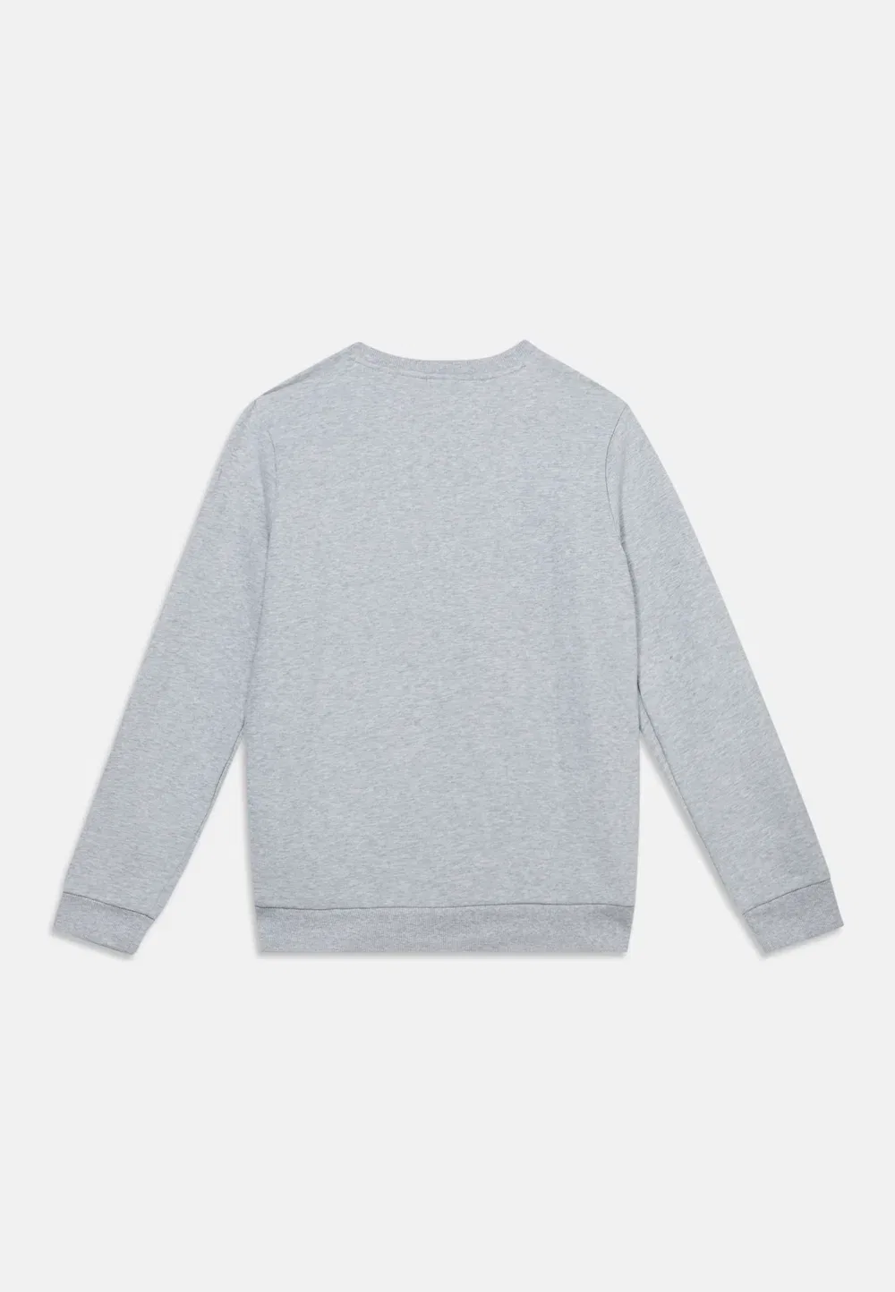 Толстовка унисекс с аппликацией и круглым вырезом Lacoste, Argent Chine Heather — фото 2