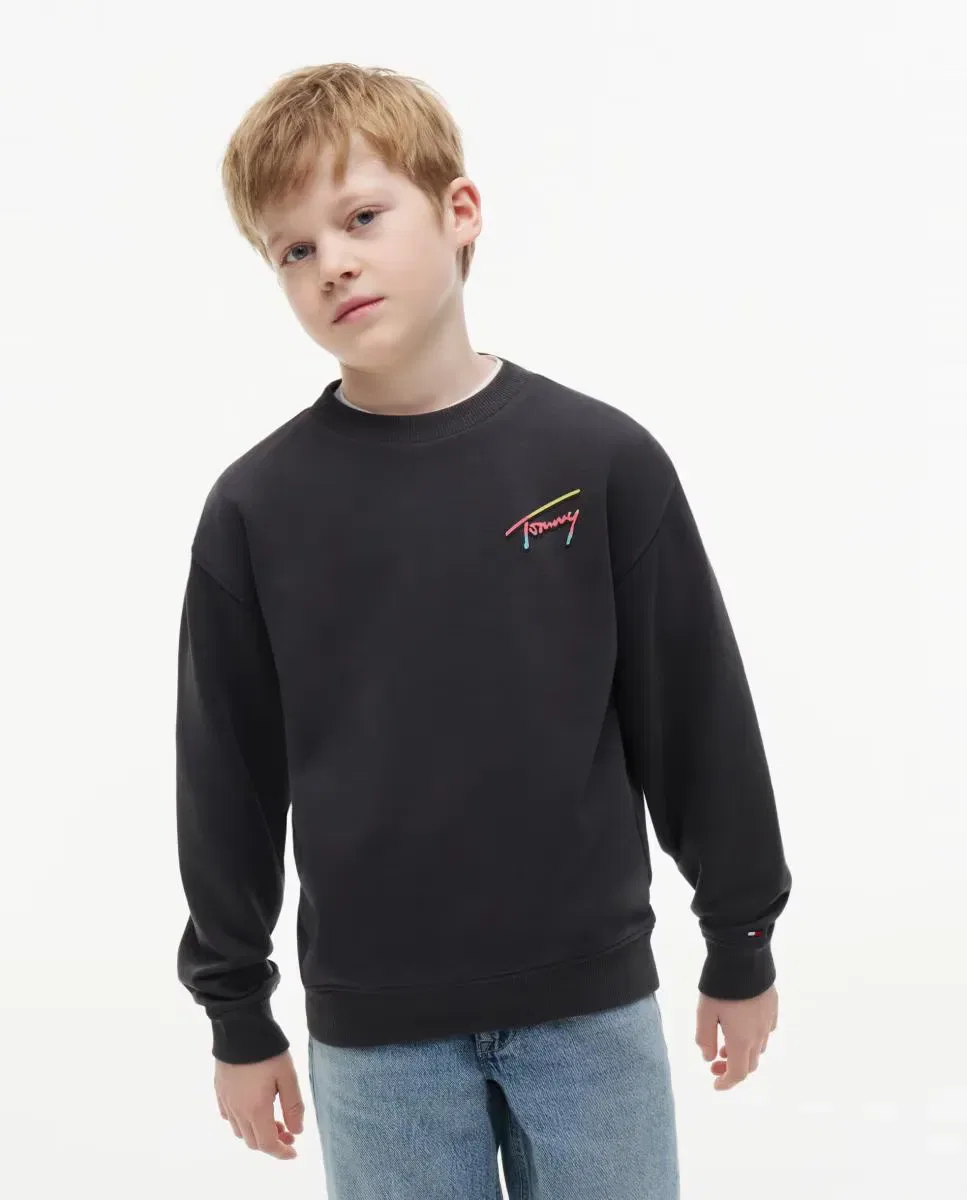 Детская толстовка для мальчиков с принтом Tommy Hilfiger, Grey