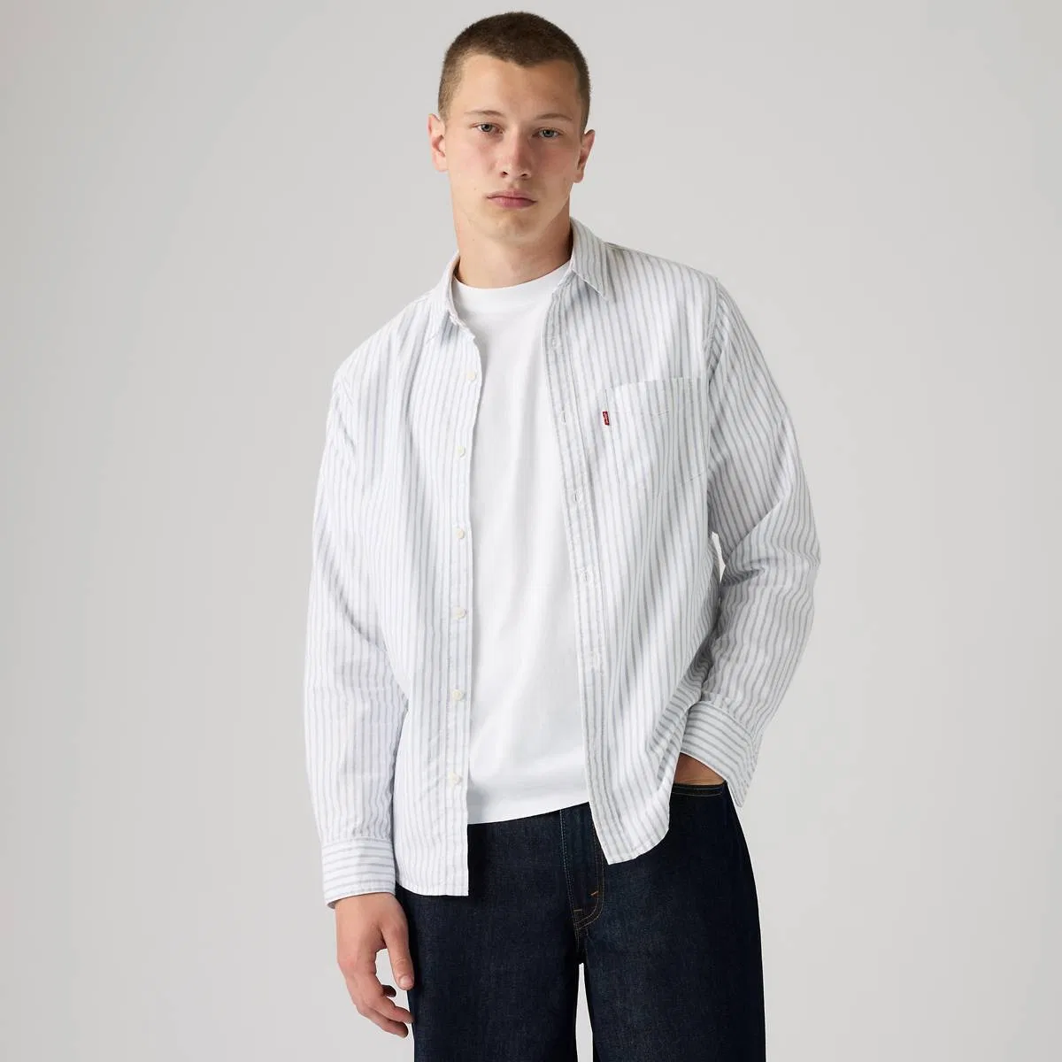 Классическая стандартная оксфордская рубашка с одним карманом Levi's, Bridey Oxford Stripe Bright White - White