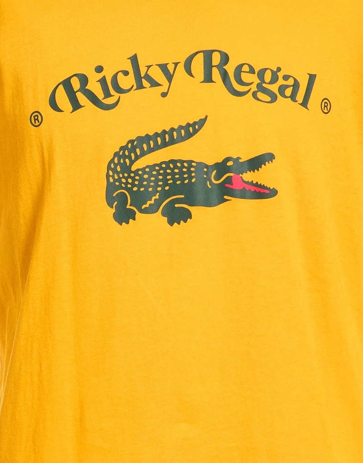 Мужская футболка хлопковая с принтом X Ricky Regal Lacoste, оранжевый — фото 4