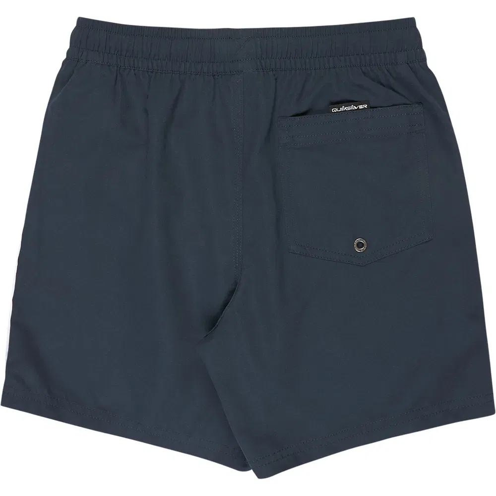 Детские плавки для мальчиков с принтом Everyday Clicker Volley 15 Quiksilver, Blue — фото 2