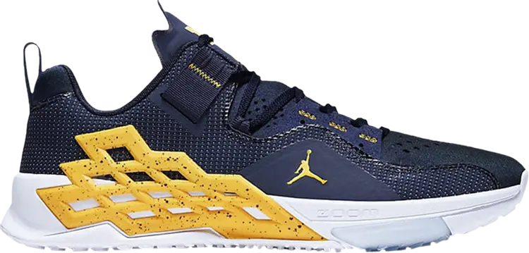 

Кроссовки Jordan Alpha 360 TR Michigan, синий