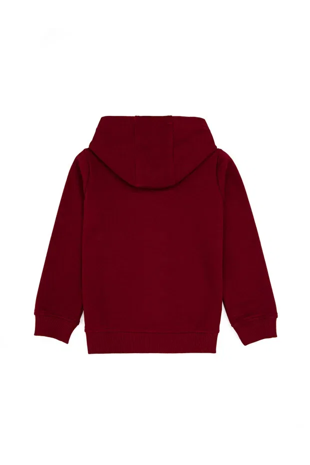 Детское худи с капюшоном на молнии U.S. Polo Assn., Burgundy — фото 4