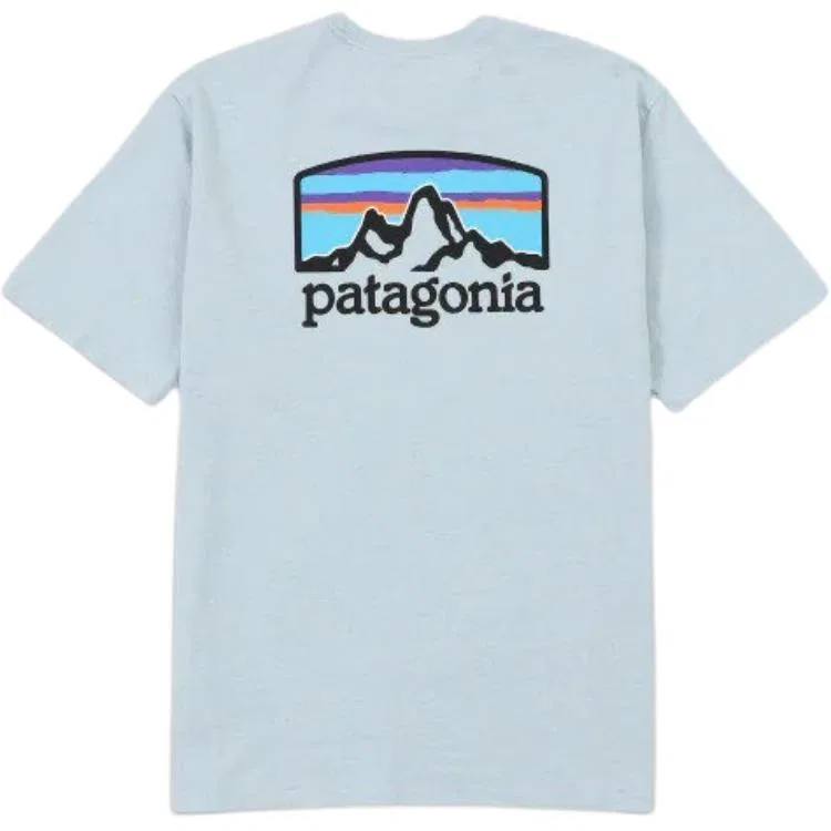 Мужская футболка с принтом Fitz Roy Horizons Patagonia, Steam Blue/STME