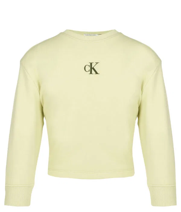 Детский комплект для девочек Regular Fit Calvin Klein Jeans, Pistacchio — фото 2