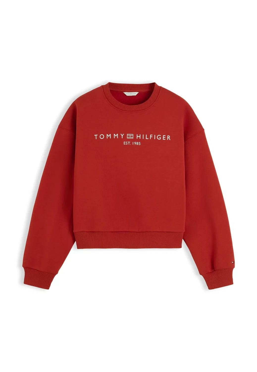 Логотип корпорации mdrn swtsrt - логотип корпорации - толстовка Tommy Hilfiger, Dark Magma — фото 4