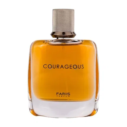 Парфюмерная вода Fariis Courageous, 100 мл