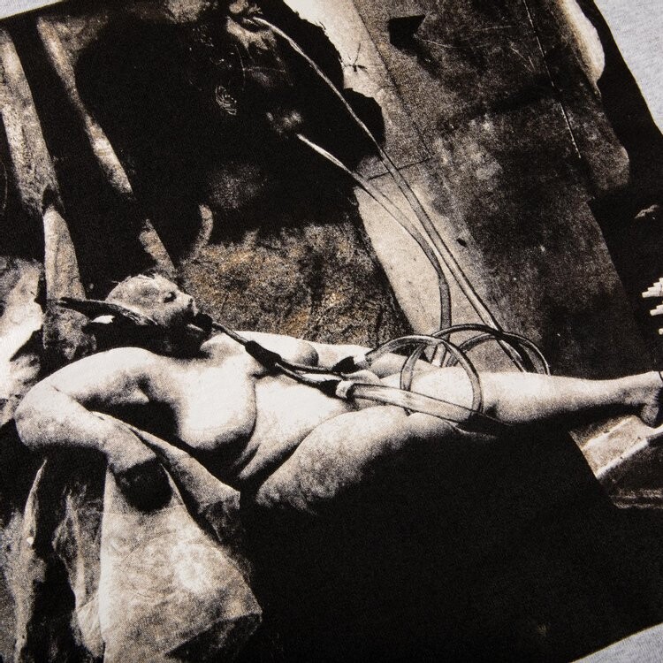Толстовка Supreme x Joel-Peter Witkin Sanitarium Hooded Sweatshirt 'Ash Grey', серый — фото 4