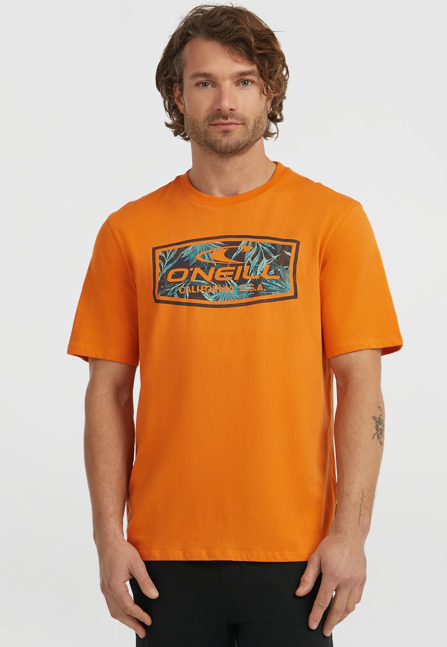 

Спортивная футболка O'Neill GRAPHIC, Mango Punch/Orange