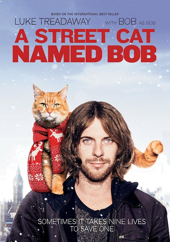 

Диск DVD Street Cat Named Bob