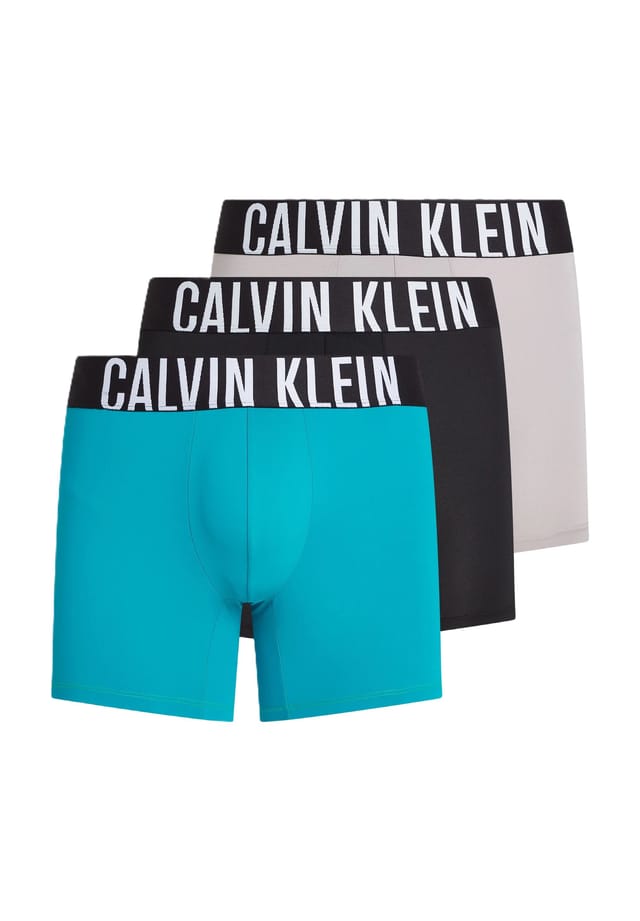 

Брюки Intense Power 3 пары пояс с логотипом Calvin Klein, серый