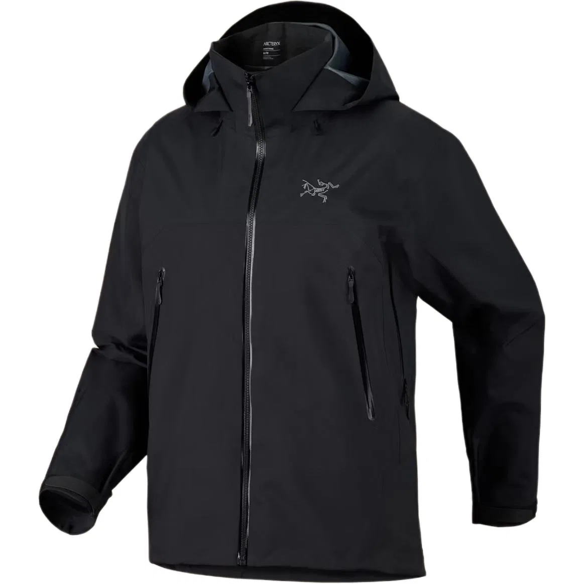 Мужская куртка с капюшоном Beta AR Arcteryx, Black